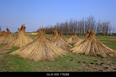 Homokbuckák Fülöpháza határában. A Homokhátság buckavonulatai csak néhány tíz méterrel magasodnak a Duna és Tisza-völgy fölé. A homokterületek az Õs-Duna hordalékkúpjainak maradványa. A szinte érintetlen állapotban levõ homokbuckás-stock-foto