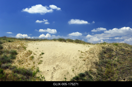 Homokbuckák Fülöpháza határában. A Homokhátság buckavonulatai csak néhány tíz méterrel magasodnak a Duna és Tisza-völgy fölé. A homokterületek az Õs-Duna hordalékkúpjainak maradványa. A szinte érintetlen állapotban levõ homokbuckás-stock-foto
