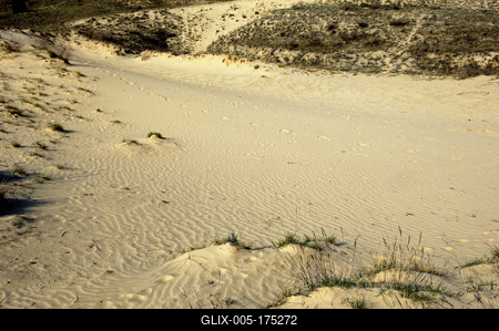 Homokbuckák Fülöpháza határában. A Homokhátság buckavonulatai csak néhány tíz méterrel magasodnak a Duna és Tisza-völgy fölé. A homokterületek az Õs-Duna hordalékkúpjainak maradványa. A szinte érintetlen állapotban levõ homokbuckás-stock-foto