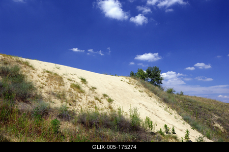 Homokbuckák Fülöpháza határában. A Homokhátság buckavonulatai csak néhány tíz méterrel magasodnak a Duna és Tisza-völgy fölé. A homokterületek az Õs-Duna hordalékkúpjainak maradványa. A szinte érintetlen állapotban levõ homokbuckás-stock-foto