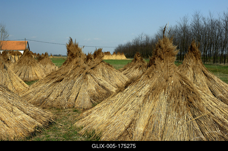 Homokbuckák Fülöpháza határában. A Homokhátság buckavonulatai csak néhány tíz méterrel magasodnak a Duna és Tisza-völgy fölé. A homokterületek az Õs-Duna hordalékkúpjainak maradványa. A szinte érintetlen állapotban levõ homokbuckás-stock-foto