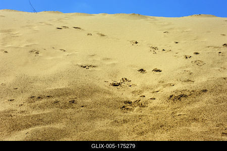 Homokbuckák Fülöpháza határában. A Homokhátság buckavonulatai csak néhány tíz méterrel magasodnak a Duna és Tisza-völgy fölé. A homokterületek az Õs-Duna hordalékkúpjainak maradványa. A szinte érintetlen állapotban levõ homokbuckás-stock-foto