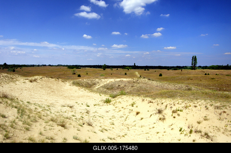 Homokbuckák a Kiskunságban-stock-foto