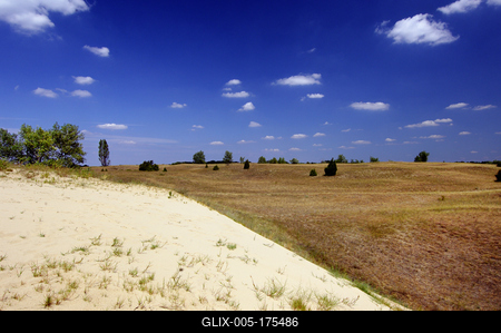 Homokbuckák a Kiskunságban-stock-foto