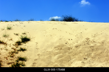 Homokbuckák a Kiskunságban-stock-foto