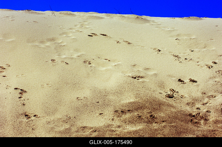 Homokbuckák a Kiskunságban-stock-foto