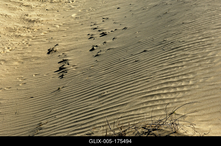 Homokbuckák a Kiskunságban-stock-foto