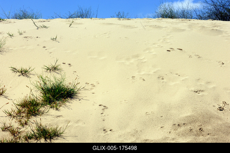 Homokbuckák a Kiskunságban-stock-foto