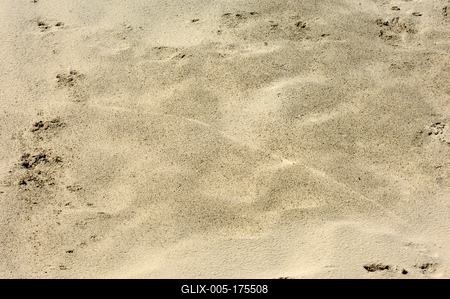 Homokbuckák a Kiskunságban-stock-foto