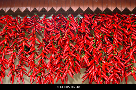 Paprikafesztivál, Boldog-stock-foto