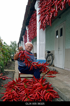 Paprikafesztivál, Boldog-stock-foto