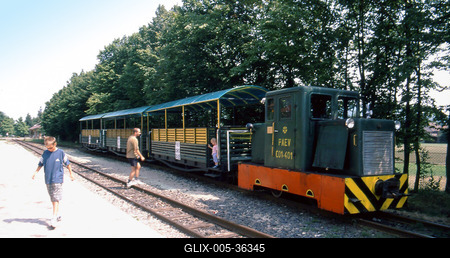 Erdei vasút Pálházán-stock-foto