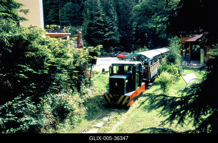 Erdei vasút Pálházán-stock-foto