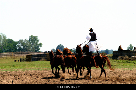 Bugac puszta-stock-foto