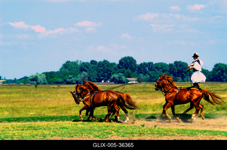 Bugac puszta-stock-foto