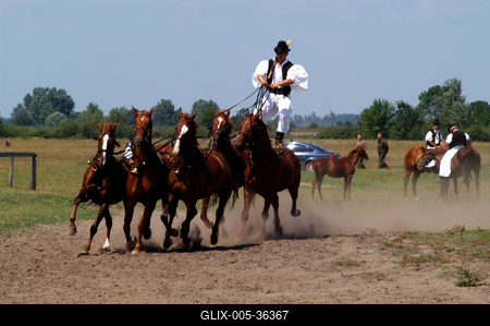 Bugac puszta-stock-foto