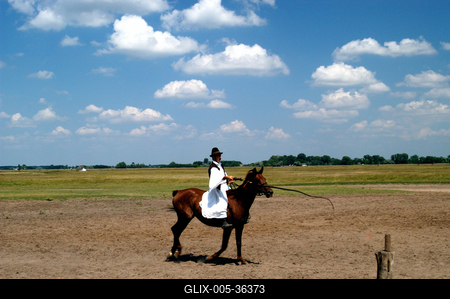 Bugac puszta-stock-foto