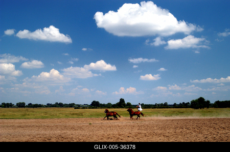 Bugac puszta-stock-foto