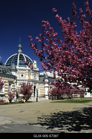 Miskolc - Erzsébet tér-stock-foto