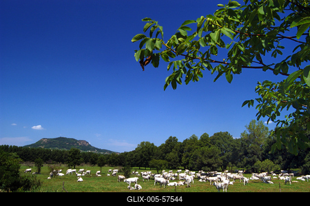 Badacsony-stock-foto