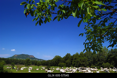 Badacsony-stock-foto