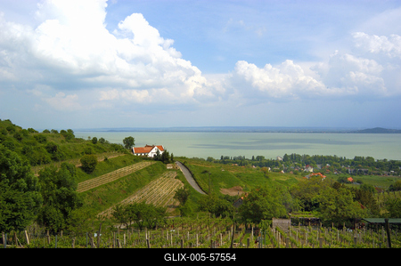 Badacsonyi panoráma a Szőlőhegyről.-stock-foto