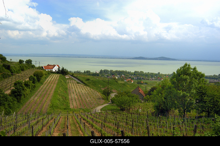 Badacsonyi panoráma a Szőlőhegyről.-stock-foto