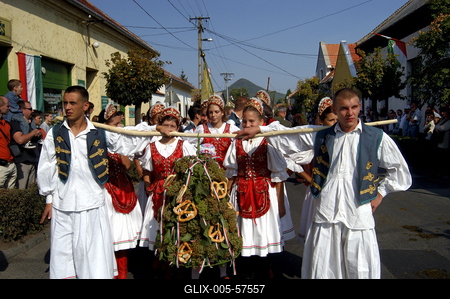 Szüreti felvonulás Badacsonyban-stock-foto