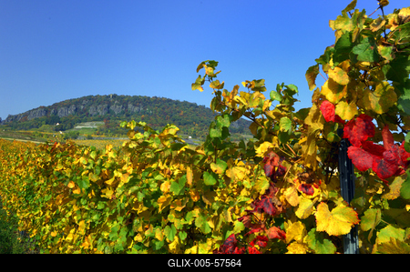 Badacsonyi ősz-stock-foto