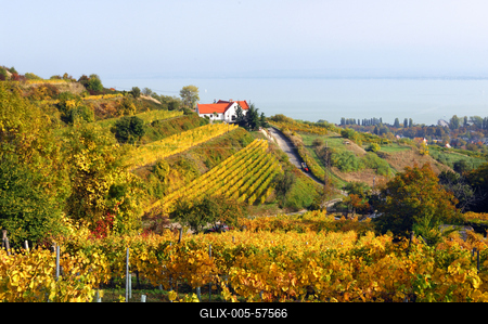 Badacsonyi ősz-stock-foto