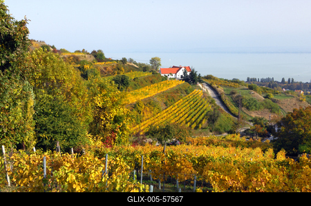 Badacsonyi ősz-stock-foto