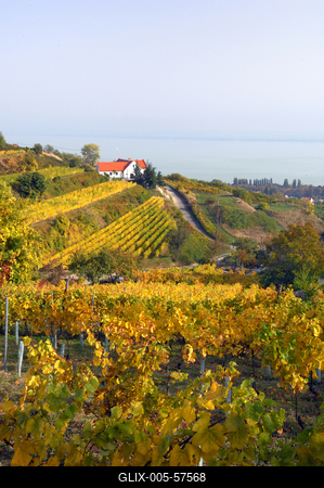 Badacsonyi ősz-stock-foto