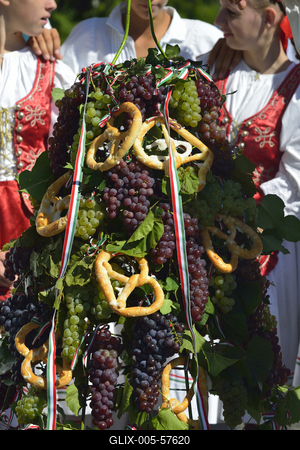 Szüreti felvonulás Badacsonyban-stock-foto