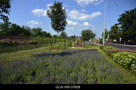 Levendula Alsóörsön-stock-foto