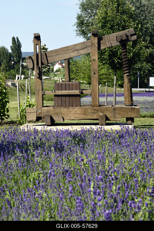 Régi szőlőprés Alsóörsön-stock-foto