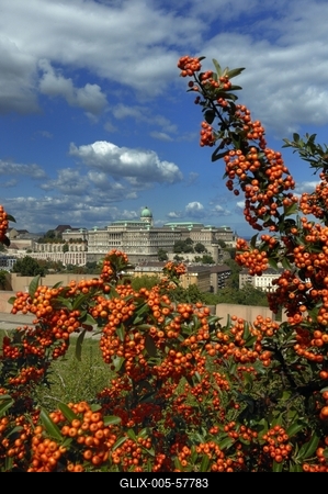 Budapest, a Budavári Palota látványa-stock-foto