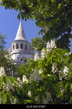 Budapest, Halászbástya-stock-foto