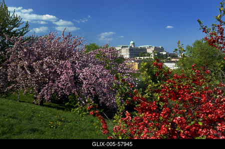 Budapest, a Budavári Palota látványa-stock-foto