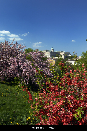 Budapest, a Budavári Palota látványa-stock-foto