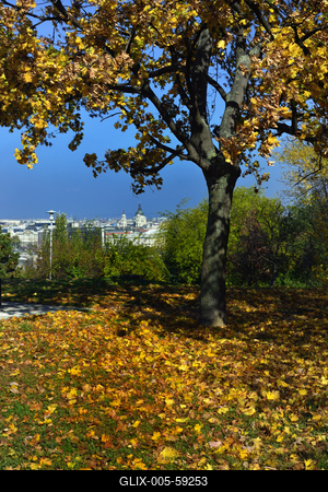 Budapest, ősz a Gellért-hegyen-stock-foto