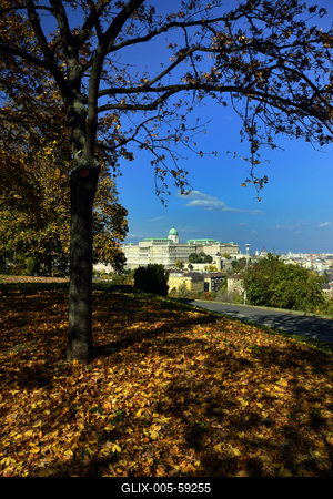Budapest, ősz a Gellért-hegyen-stock-foto