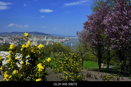 Tavaszi virágzás a Gellért-hegyen-stock-foto