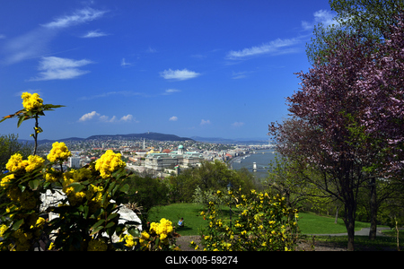 Tavaszi virágzás a Gellért-hegyen-stock-foto