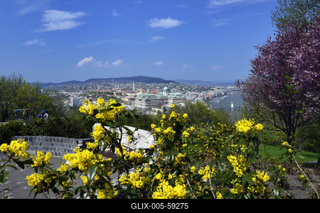 Tavaszi virágzás a Gellért-hegyen-stock-foto