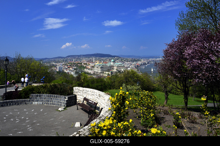 Tavaszi virágzás a Gellért-hegyen-stock-foto