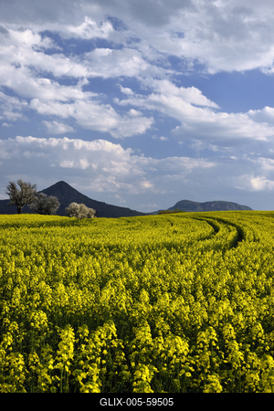 Balaton-felvidék-stock-foto