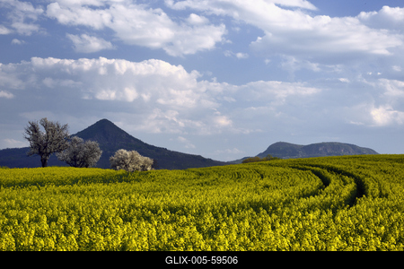 Balaton-felvidék-stock-foto