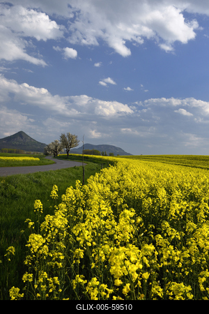 Balaton-felvidék-stock-foto