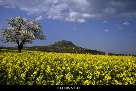 Balaton-felvidék-stock-foto