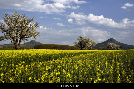 Balaton-felvidék-stock-foto